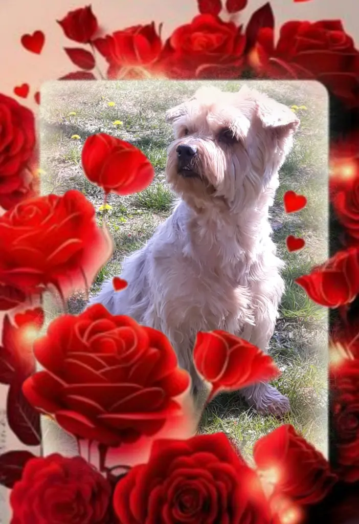 Condolence image of Ewa & Krzysztof 