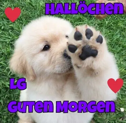 Condolence image of Claudia mit ASKO❤️ 