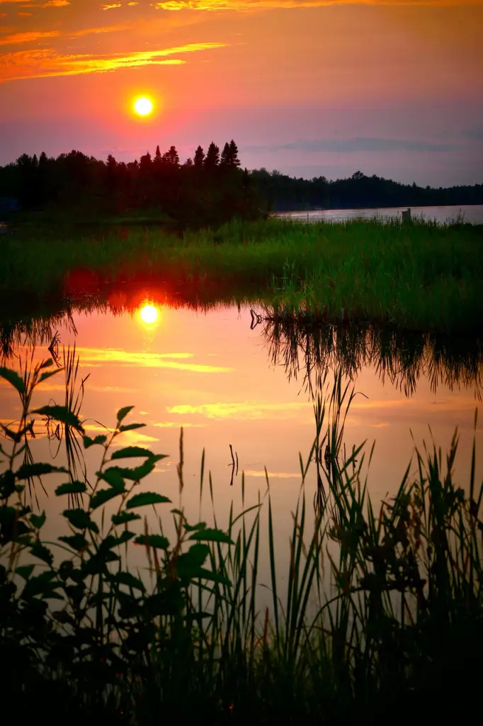 Condolence image of Dobranoc ❤️Jacki ❤️