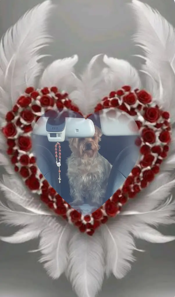 Condolence image of Sonntag...69 Wochen ohne Dich♥️ unser lieber Jacki♥️...