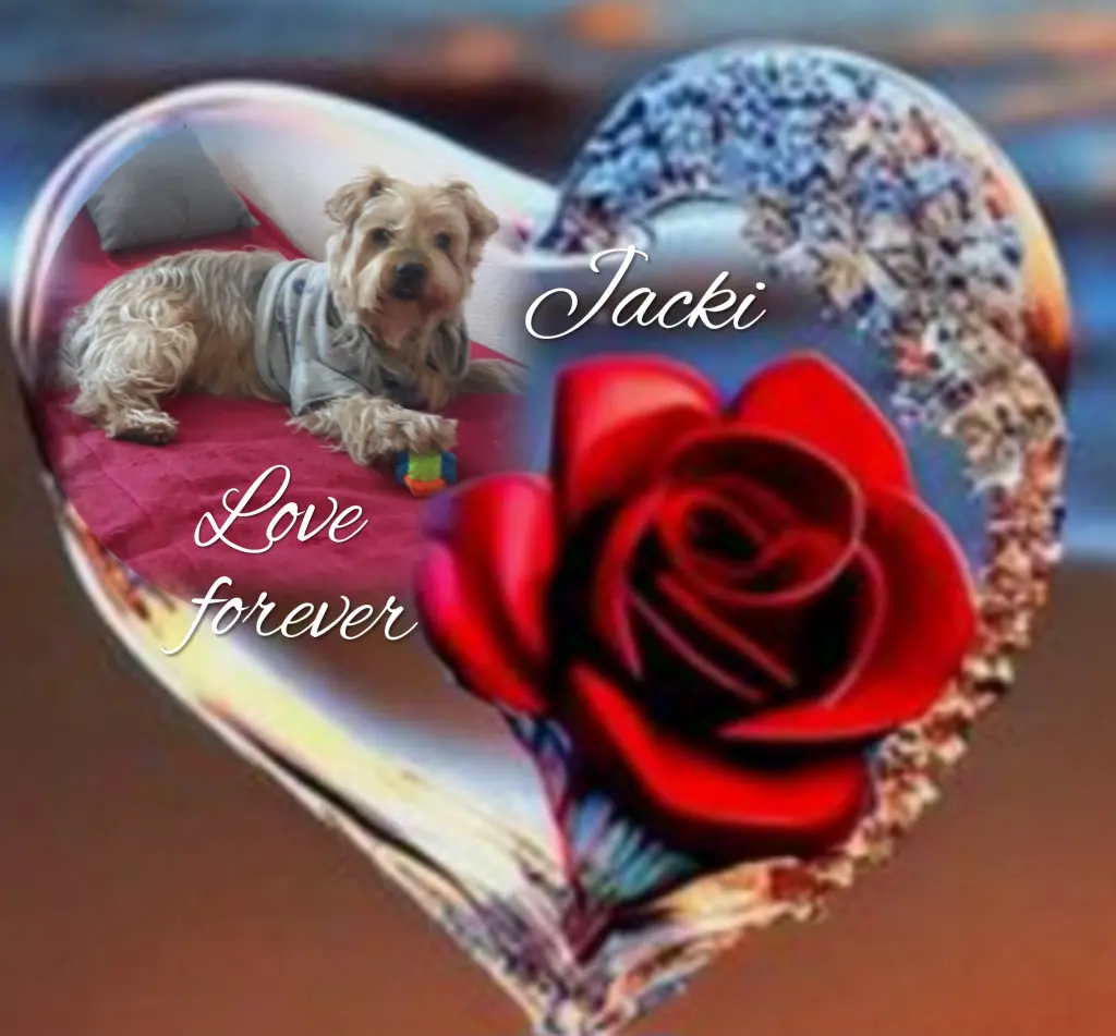 Condolence image of ♥️Ewige Liebe♥️