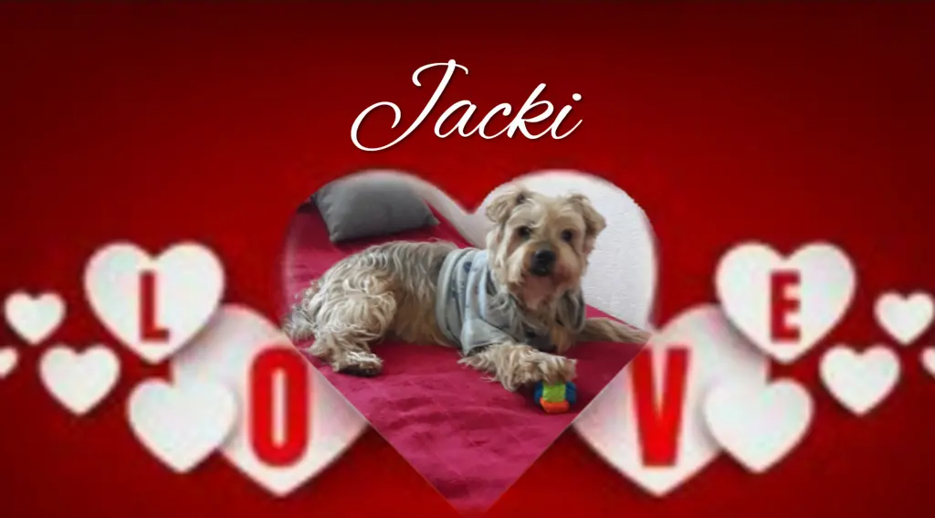 Condolence image of Ewa & Krzysztof 