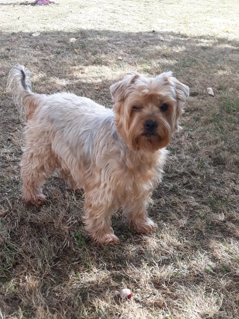 Condolence image of Ewa & Krzysztof 