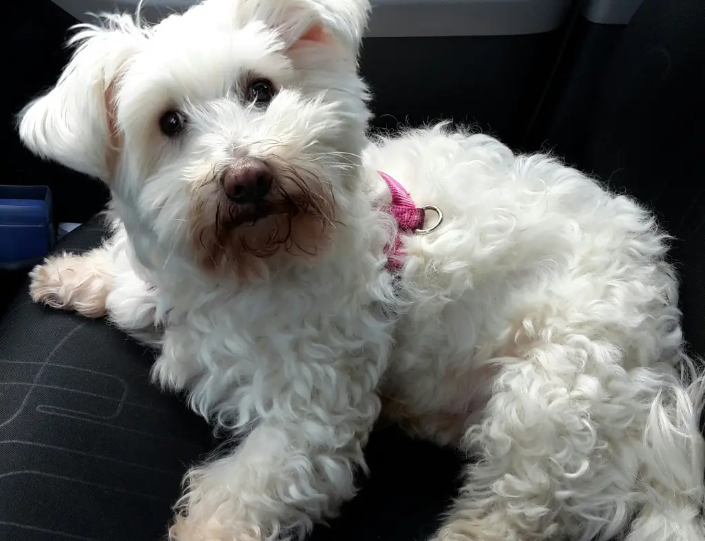 Condolence image of Alles Liebe ♥️ zum Gedenktag. 