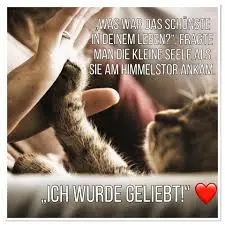 Condolence image of Snoopy❤Pünktchen 