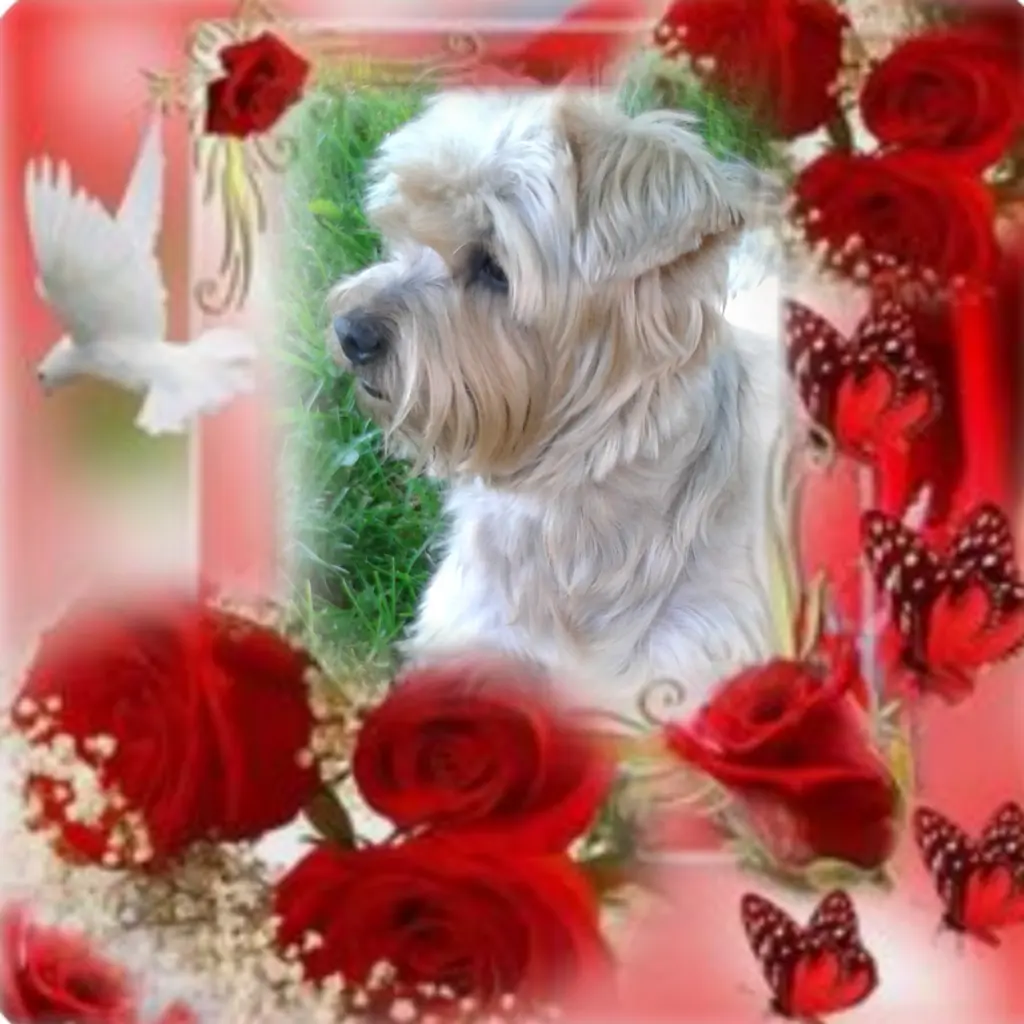 Condolence image of Ewa & Krzysztof 