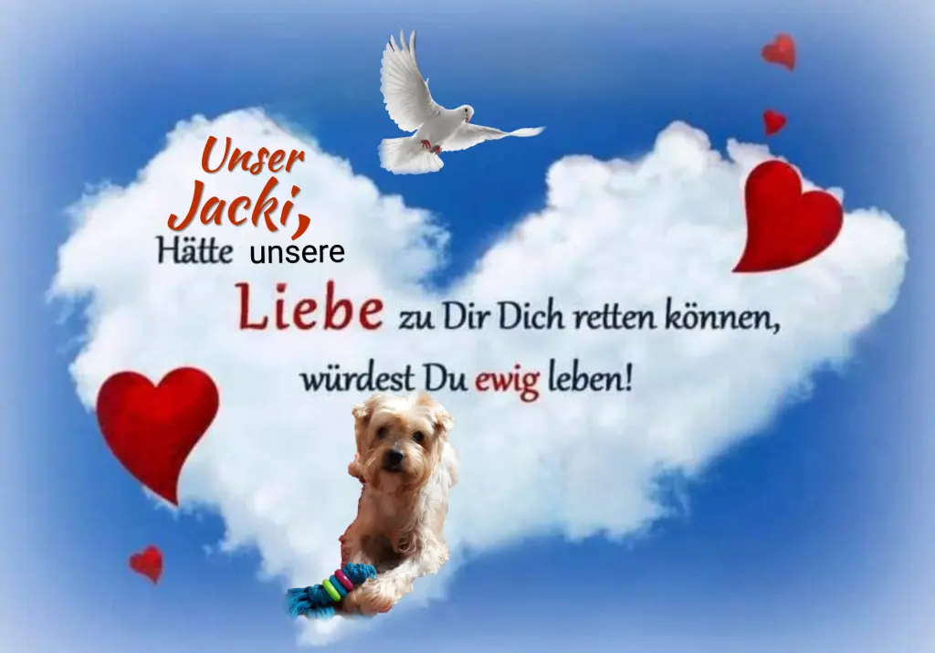 Condolence image of Sonntag...70 Wochen ohne Dich♥️ unser lieber Jackuś♥️...