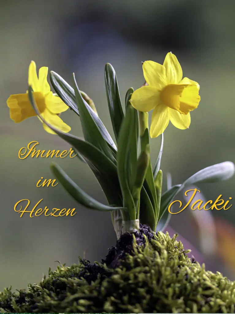 Condolence image of ♥️kochany na zawsze❤️