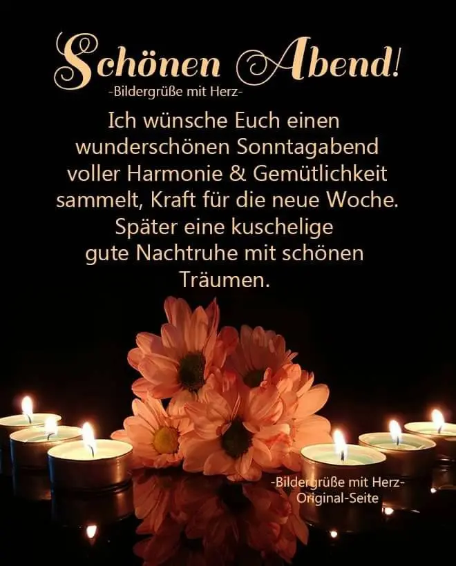 Condolence image of Angelika mit Luna ❤️