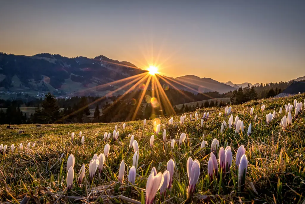 Condolence image of ♥️Zawsze w sercu♥️