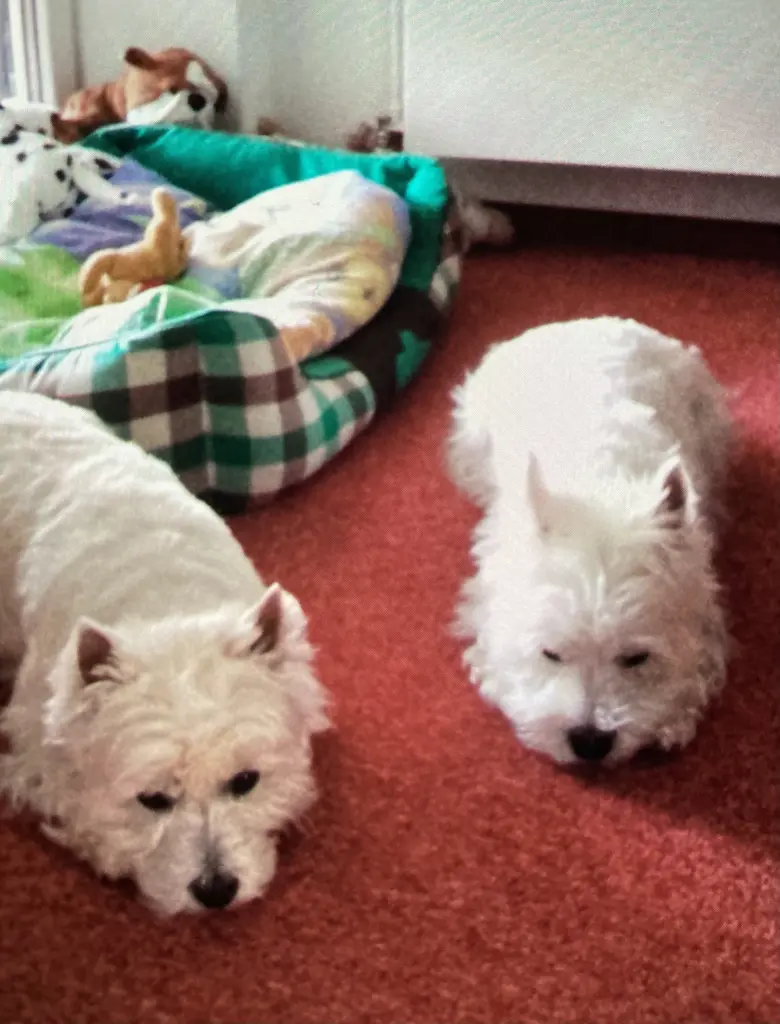 Condolence image of Unbekannt