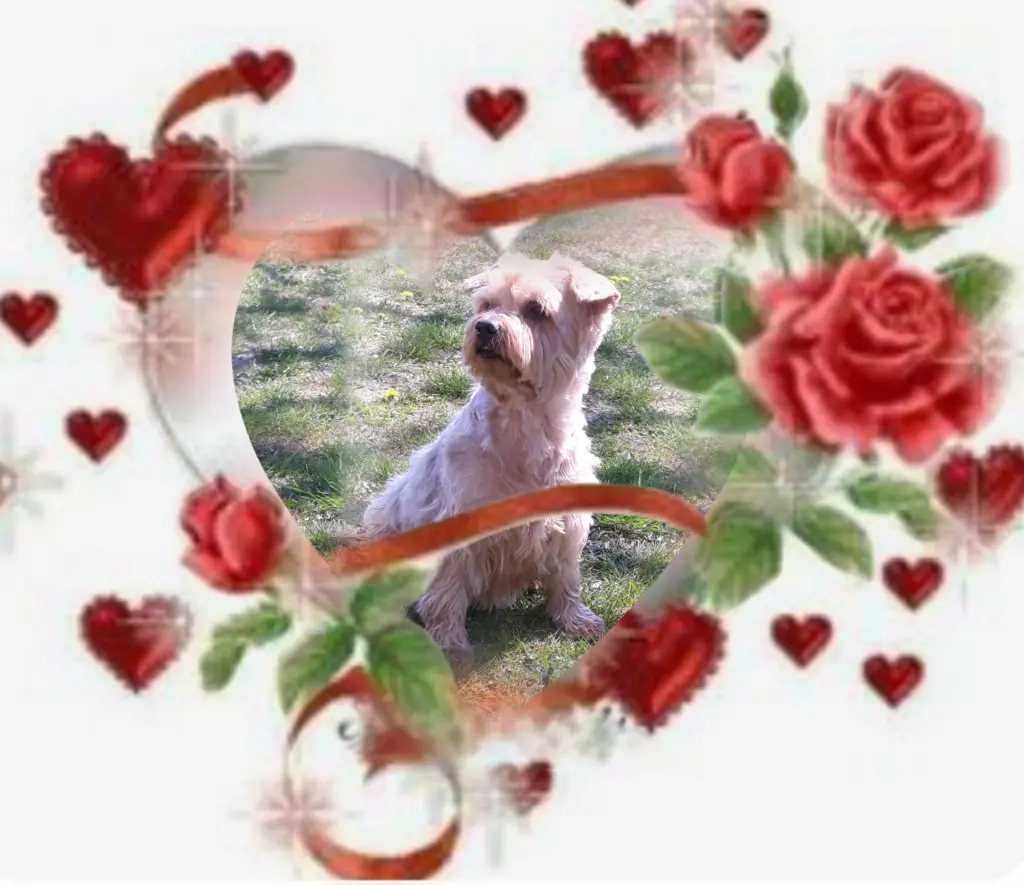 Condolence image of Ewa & Krzysztof 