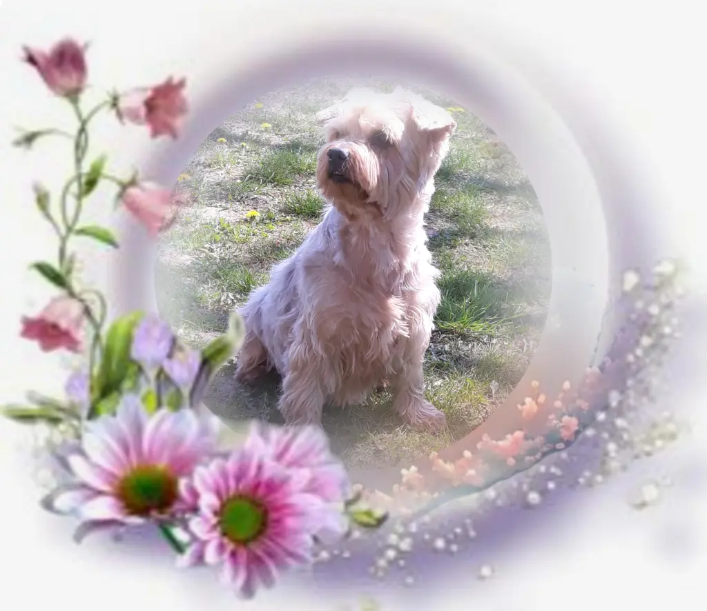 Condolence image of Ewa & Krzysztof 