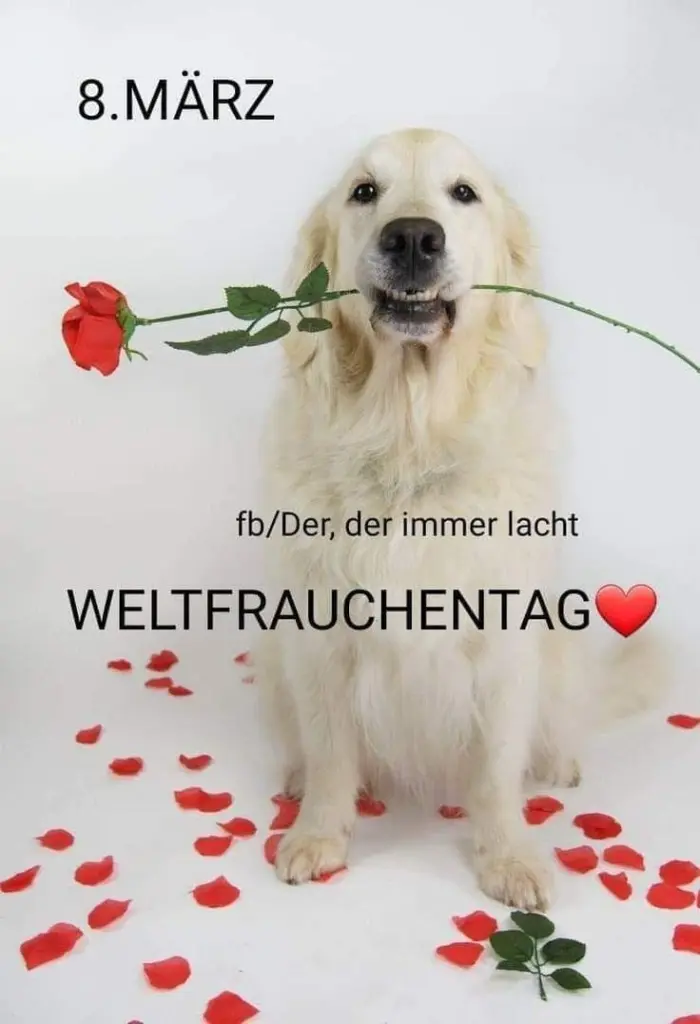 Condolence image of Jacki ❤️  (ASKO❤️)