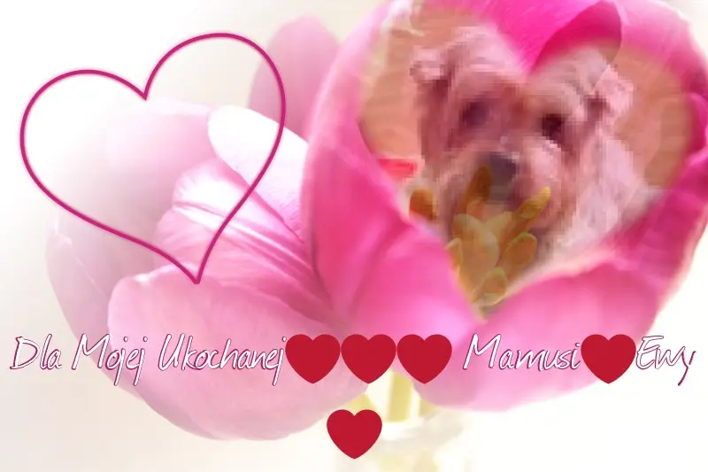Condolence image of Dla Kochanej❤️❤️❤️Mamusi❤️Ewy❤️