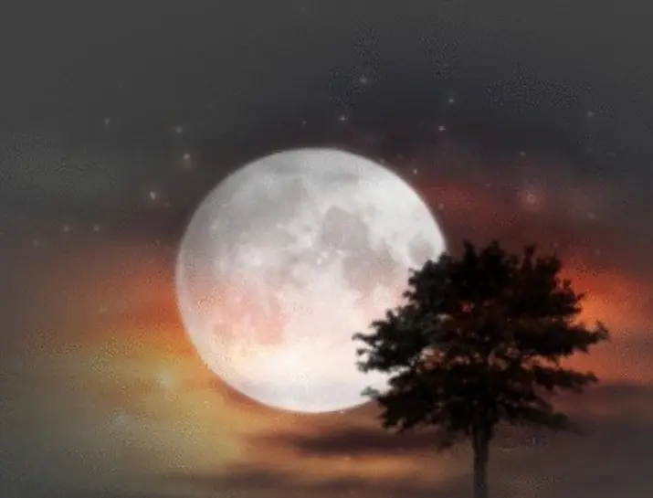 Condolence image of Dobranoc ❤️Jacki ❤️