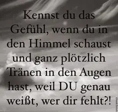 Condolence image of Angelika mit Luna ❤️