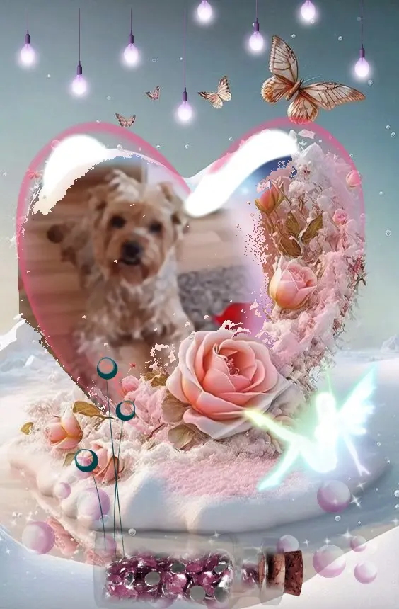 Condolence image of 72. Tygodnie Bez Ciebie❤️⭐️Ukochany❤️❤️❤️❤️❤️❤️❤️❤️Jackusiu❤️⭐️