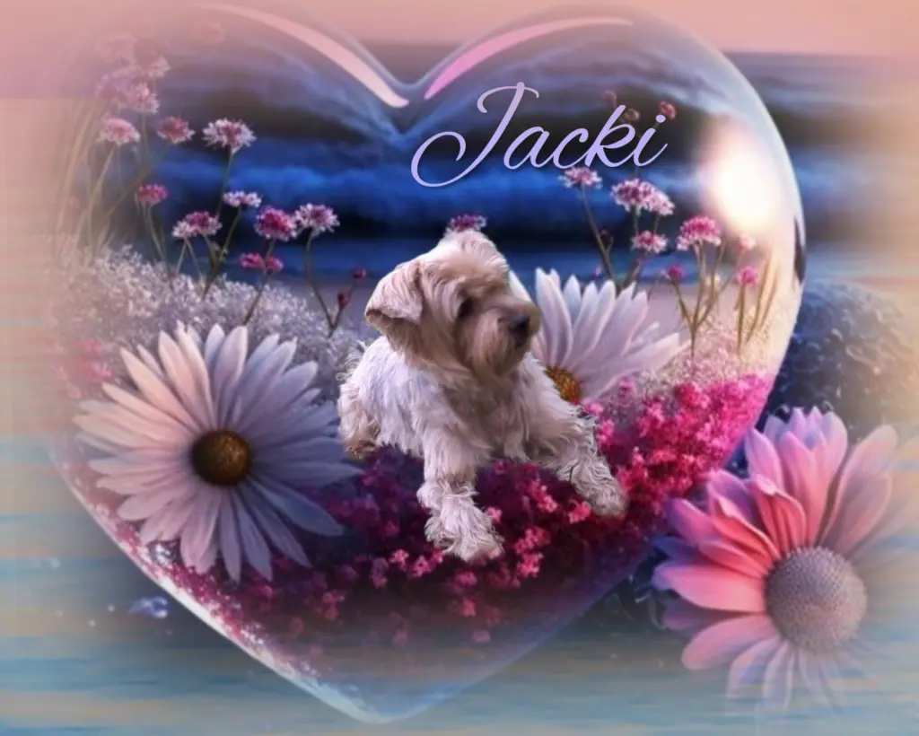 Condolence image of ♥️Niedzielne pozdrowienia❤️