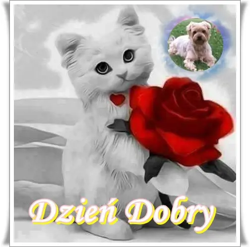 Condolence image of ❤️❤️❤️❤️❤️❤️❤️❤️❤️❤️❤️