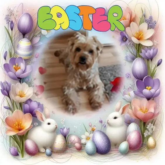 Condolence image of Wesołych❤️❤️❤️Świąt Wielkanocnych❤️❤️