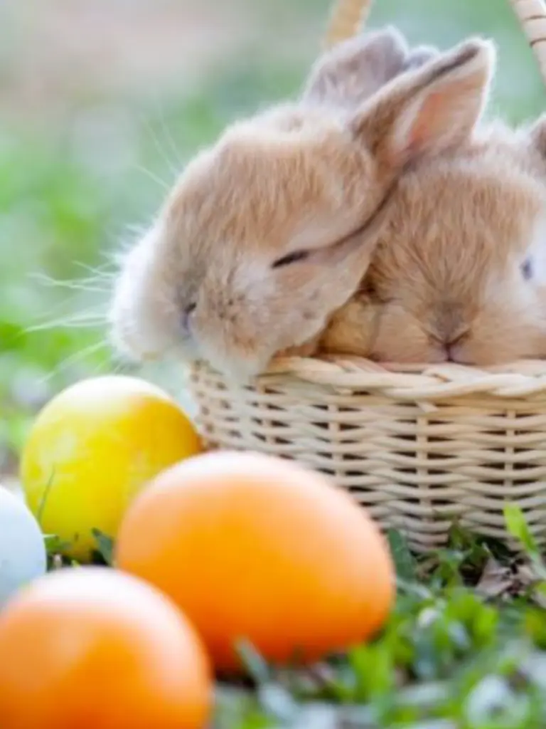 Condolence image of Wenke mit Lilli im ♥️