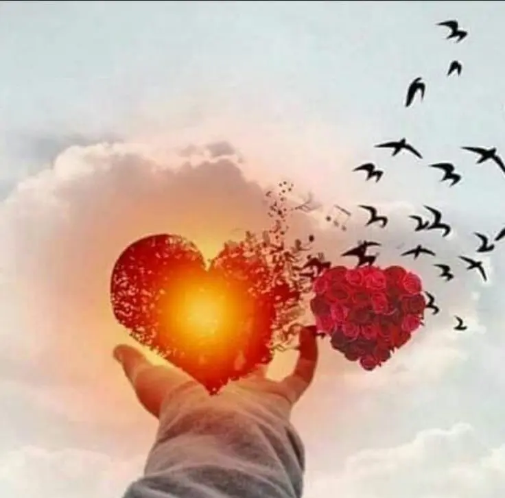 Condolence image of Martina mit Seelenhund Samy ♥️⭐♥️ für immer im Herzen 