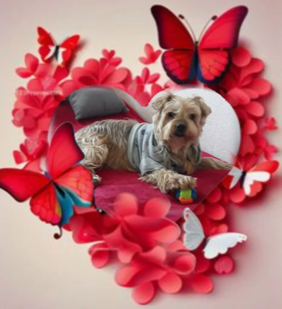 Condolence image of Ewa & Krzysztof 