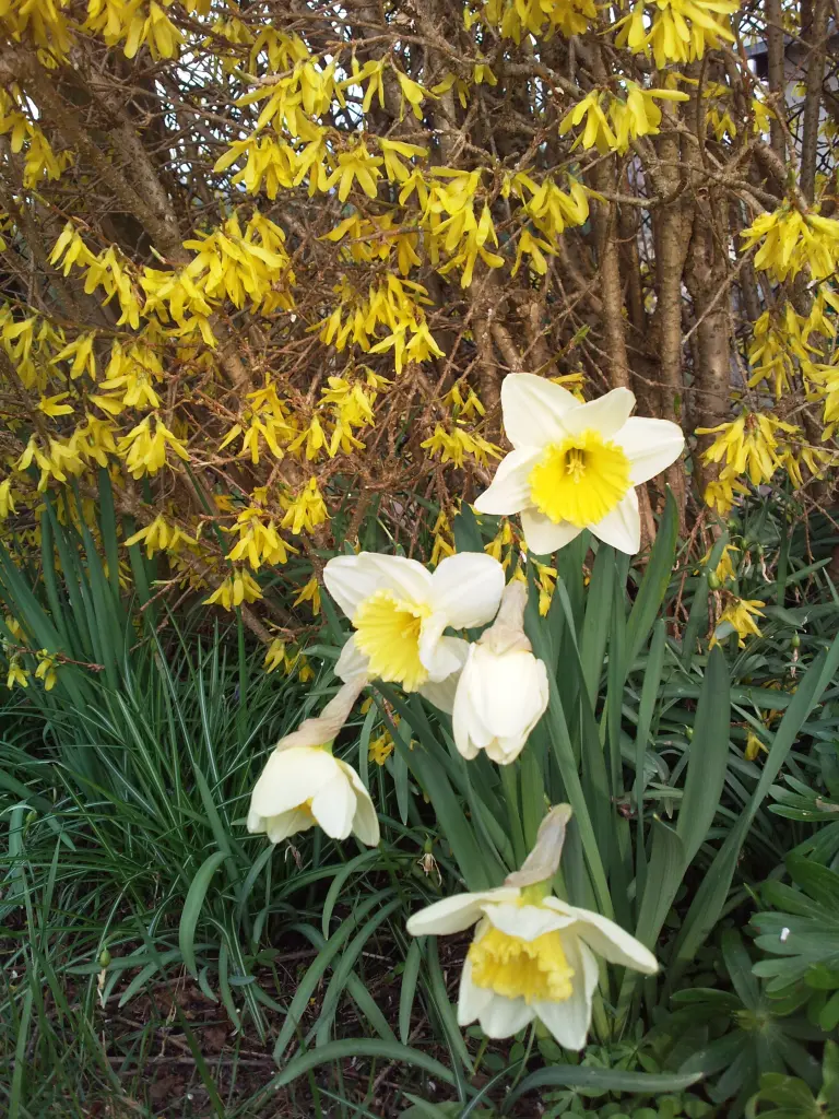 Condolence image of Herzliche Abendgrüße