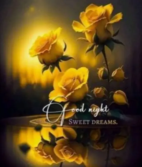 Condolence image of ⭐️❤️Dobranoc nasz kochany Jackusiu❤️⭐️