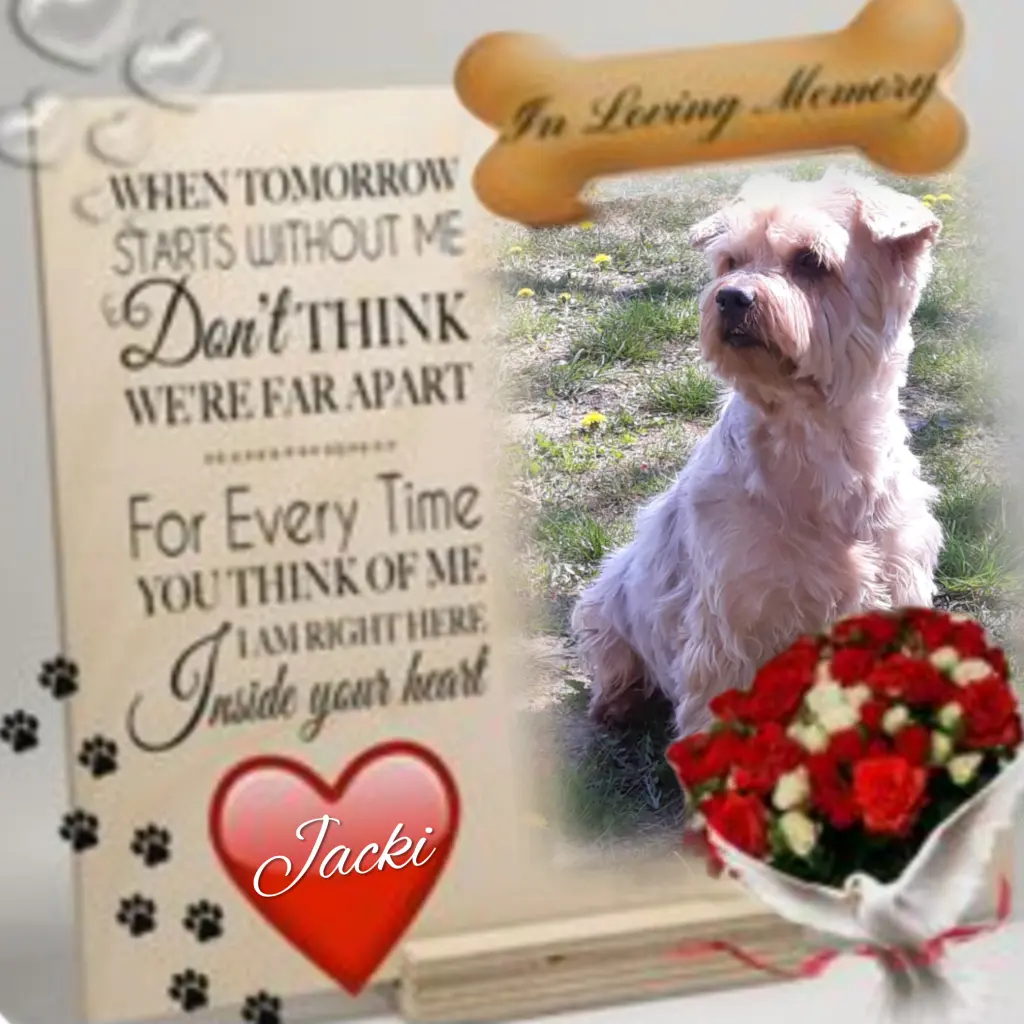 Condolence image of ❤️to❤️