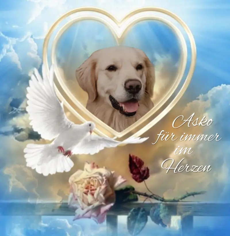 Condolence image of Claudia mit ASKO❤️ 