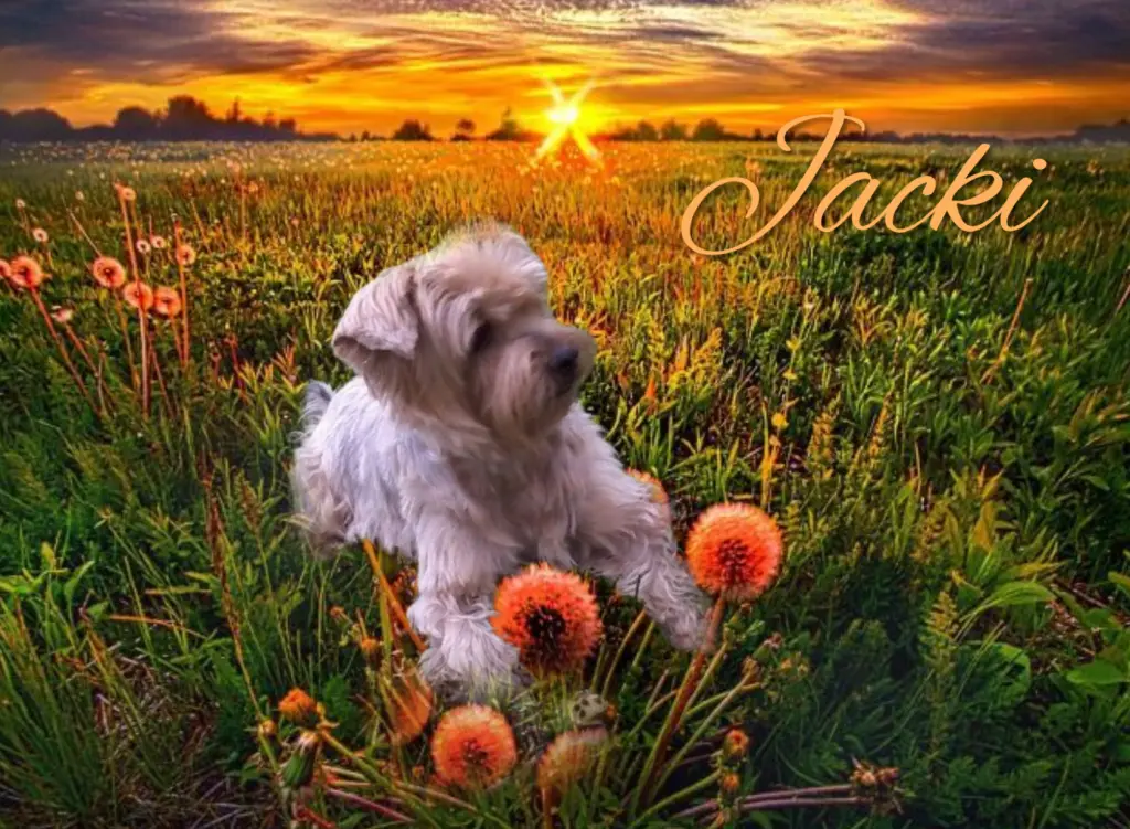 Condolence image of ♥️