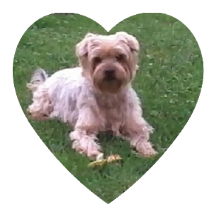 Condolence image of Ewa & Krzysztof 