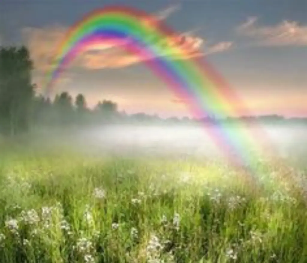 Condolence image of Ewa & Krzysztof 