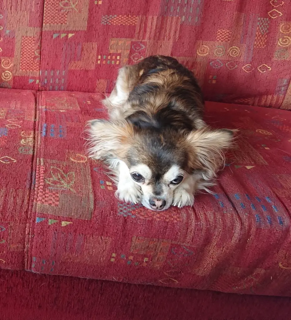 Condolence image of Ina Erberich