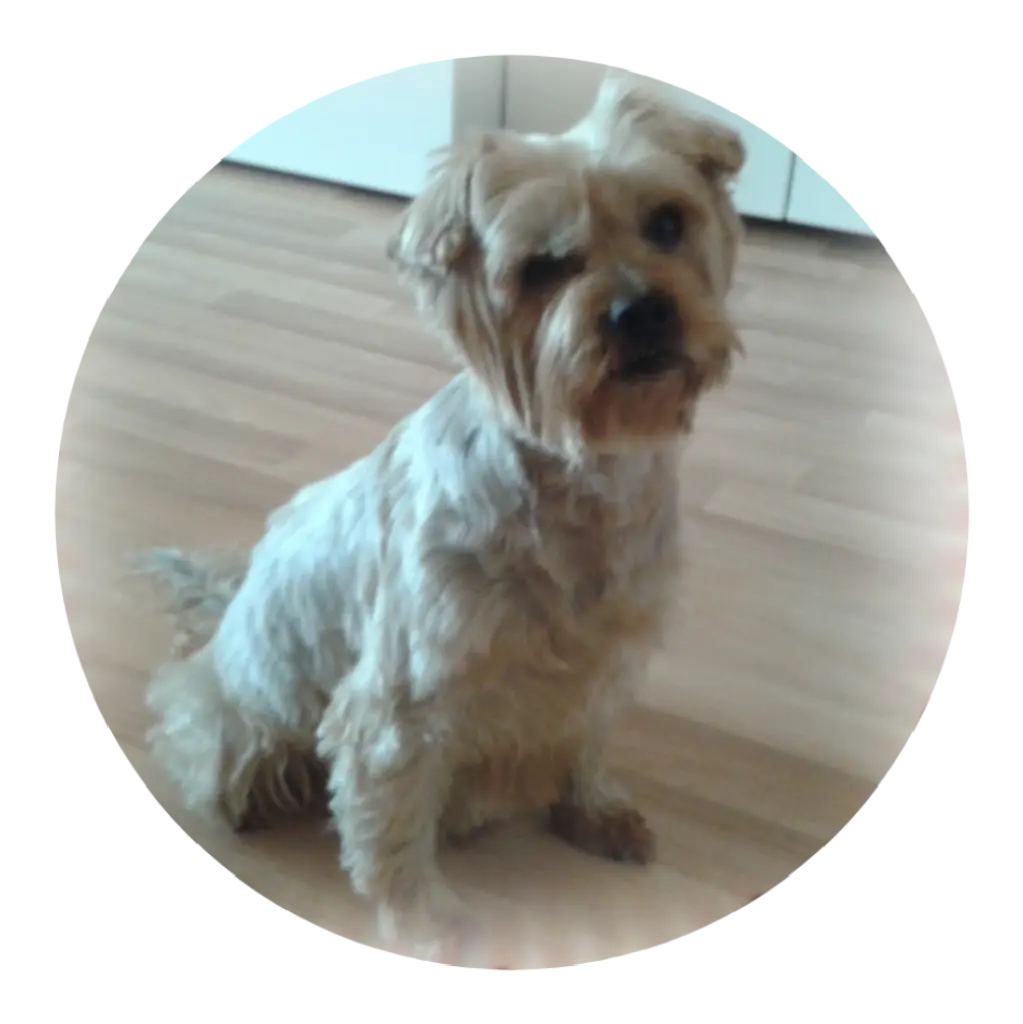 Condolence image of Ewa & Krzysztof 