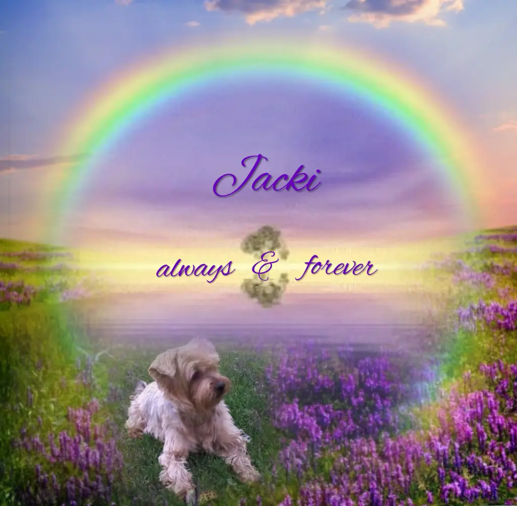 Condolence image of ❤️