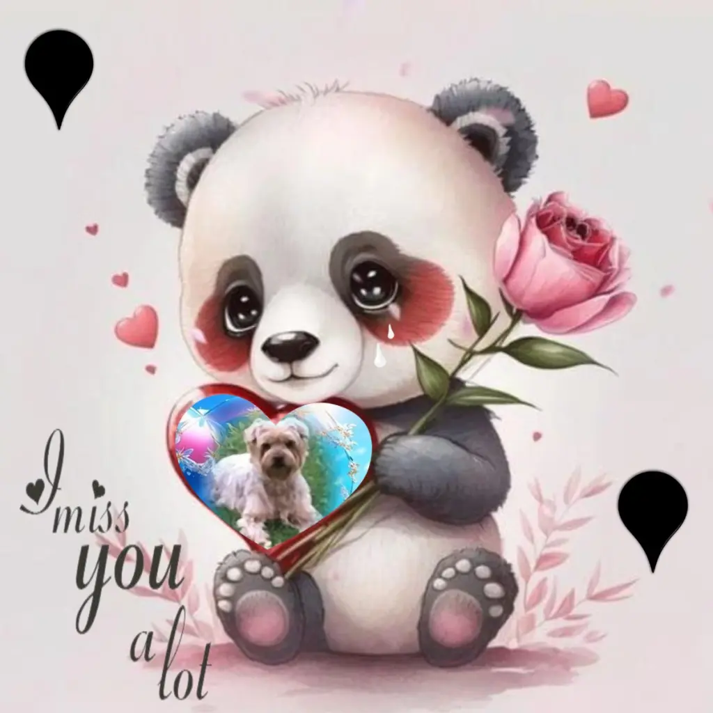 Condolence image of Dobrej Nocki❤️❤️❤️Ukochany❤️❤️❤️Jackusiu❤️⭐️