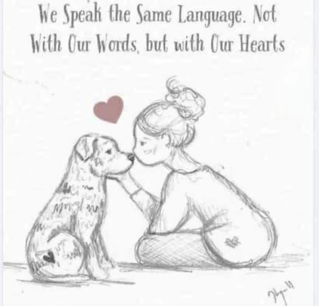 Condolence image of ⭐️❤️Dobranoc nasz kochany Jackusiu❤️⭐️