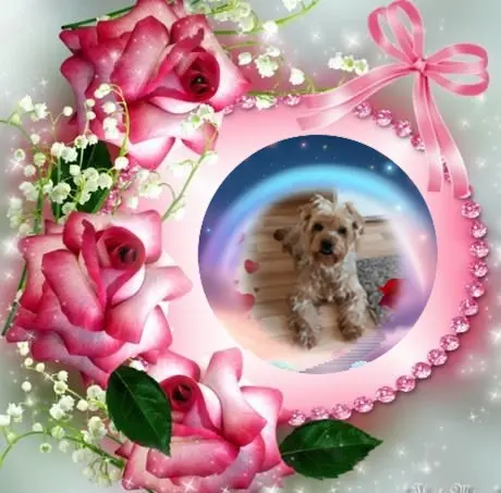 Condolence image of 77.Tygodni.....Bez Ciebie❤️⭐️Ukochany❤️❤️❤️❤️❤️❤️❤️❤️❤️Jackuniu❤️⭐️