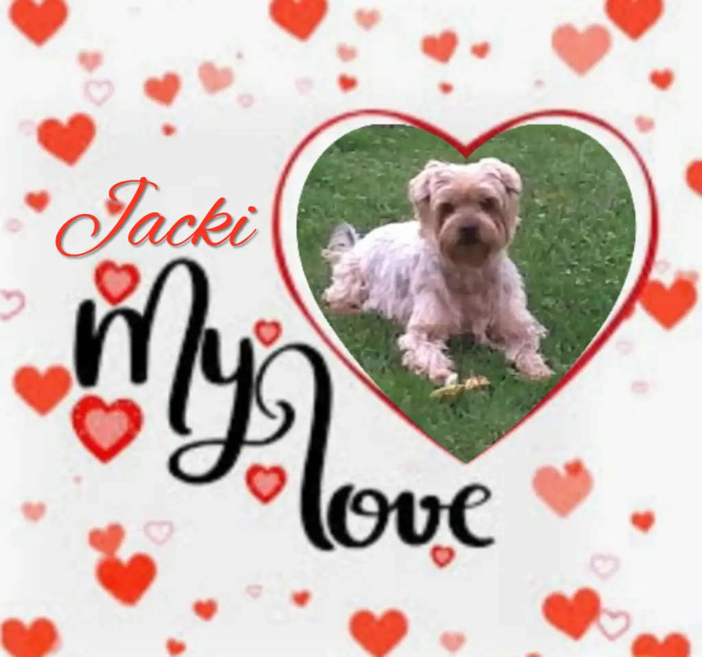 Condolence image of Sonntag...77 Wochen ohne Dich♥️ unser allerliebster Jackuś♥️...