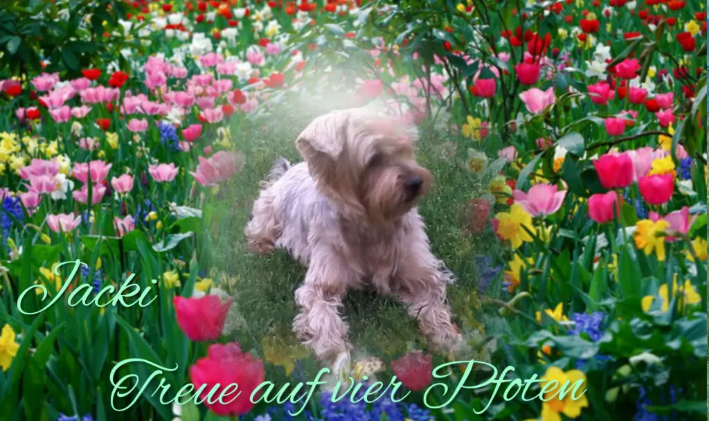 Condolence image of ♥️