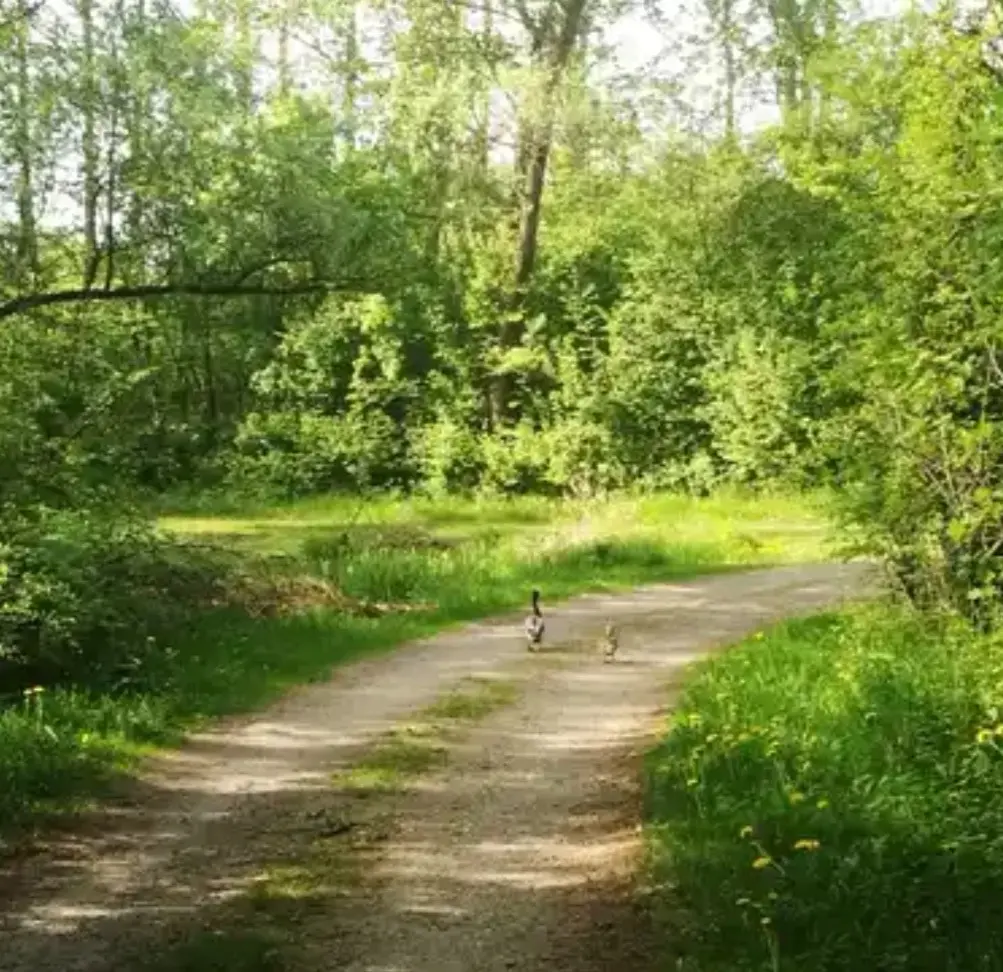 Condolence image of ♥️