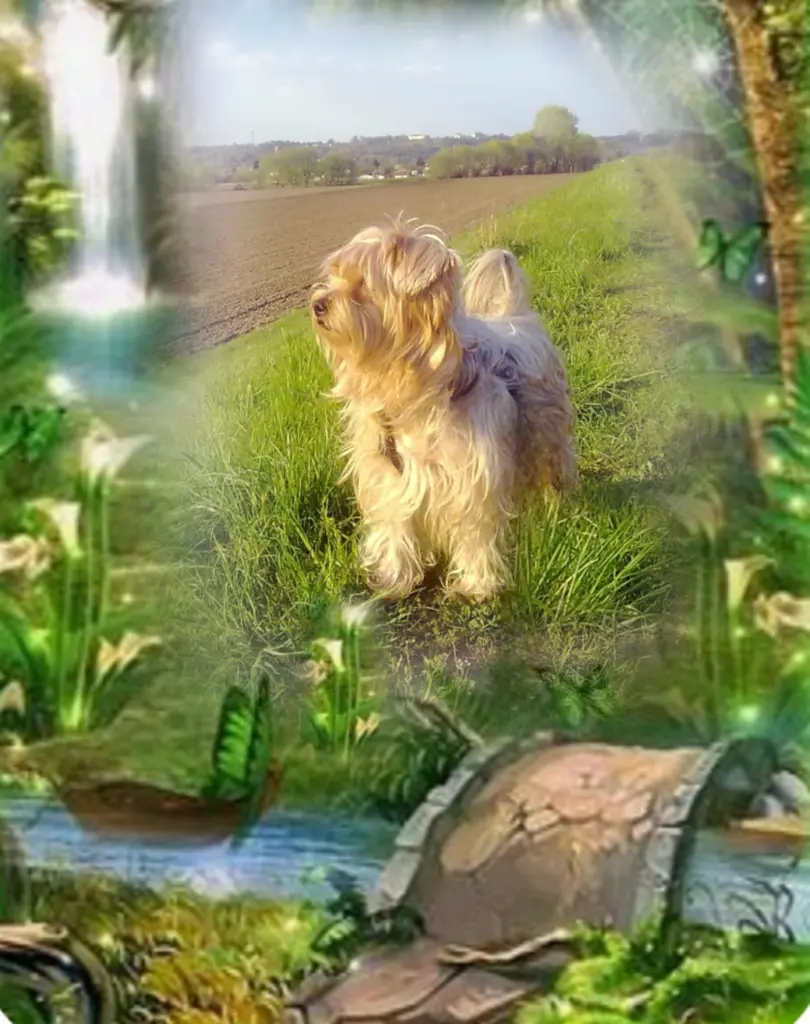 Condolence image of Ewa & Krzysztof 