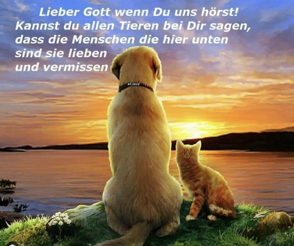 Condolence image of Wenke mit Lilli im Herzen ♥️