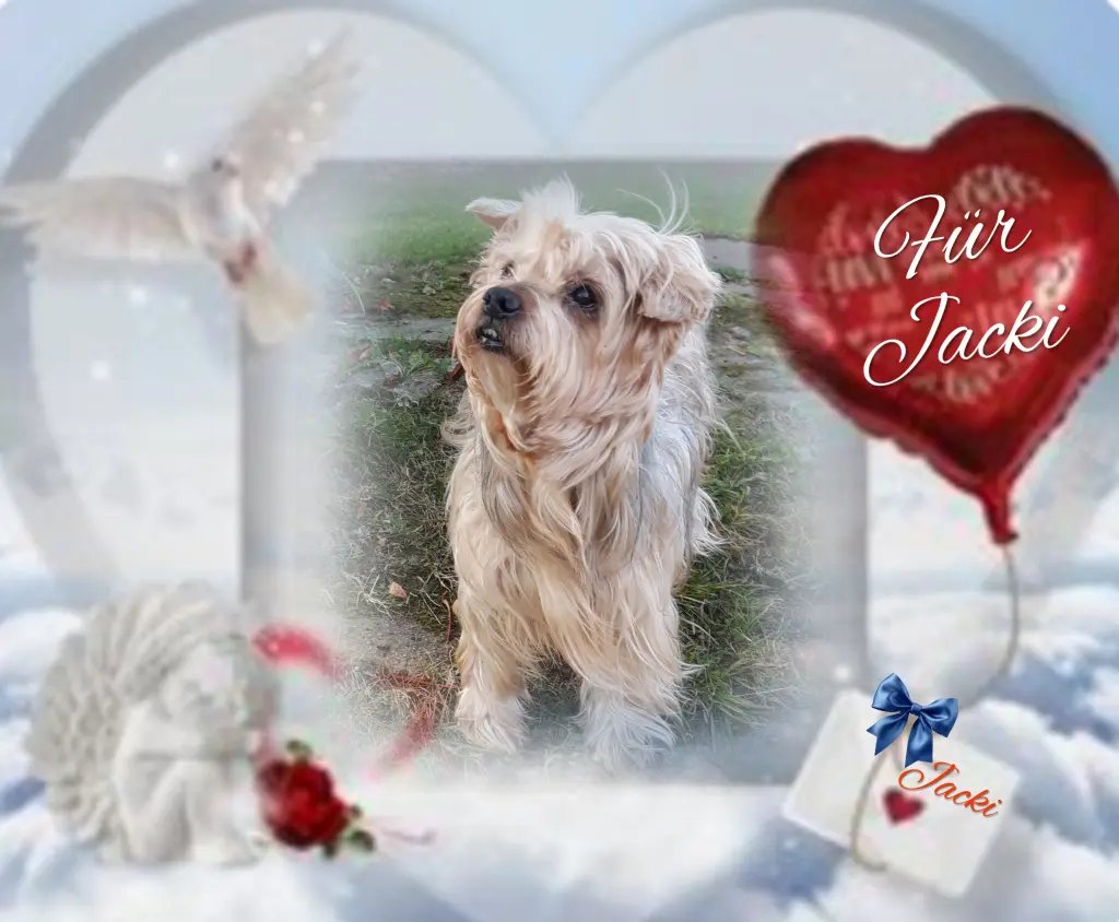 Condolence image of Ewa