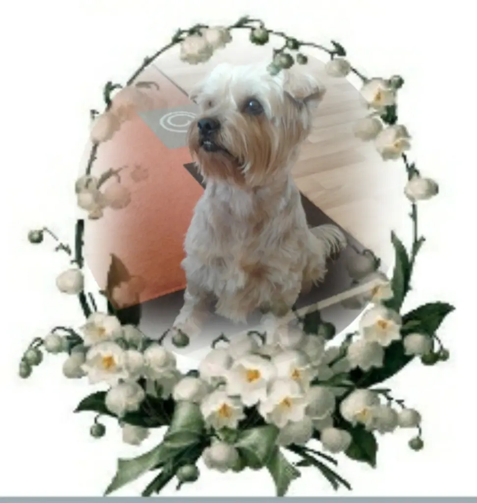 Condolence image of Ewa & Krzysztof 