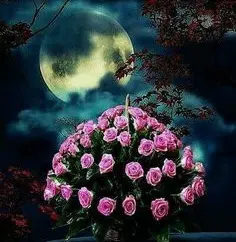 Condolence image of Dobranoc ❤️Jacki ❤️