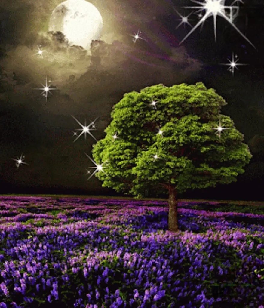 Condolence image of ⭐️❤️Dobranoc nasz kochany Jackusiu❤️⭐️